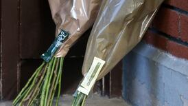 Bodies of elderly couple discovered at their home in Naas