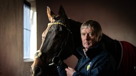 ‘You don’t find the great horses – they find you’: Barry Connell aiming for first Cheltenham win as trainer