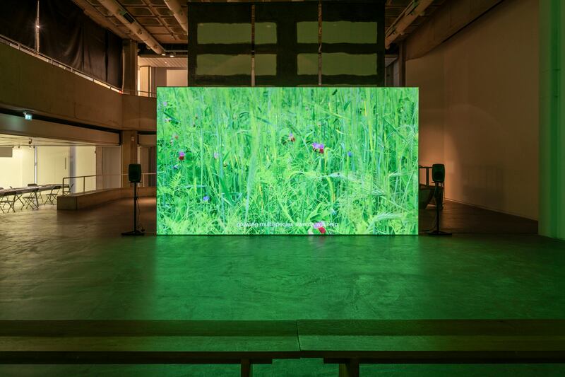 The Quickening by Deirdre O'Mahony. Photograph: Louis Haugh