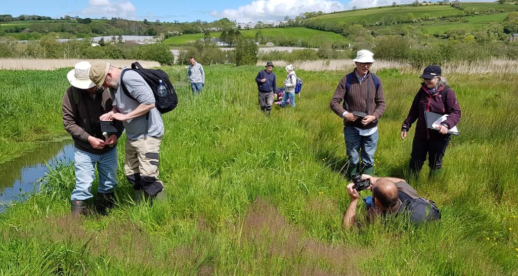 Botanists plant recording for Plant Atlas 2020 at Minane Bridge Marsh in Co Cork. Photograph: Clare Heardman