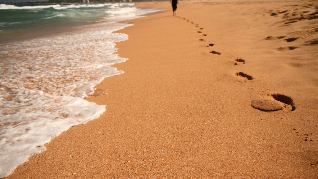 'Even a few minutes walking outdoors alone can slow down the rush of a busy life and reframe our approach to our day.' Photograph: iStock