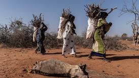 The hottest year ever, yet Harris is only talking about climate in the context of helping farmers