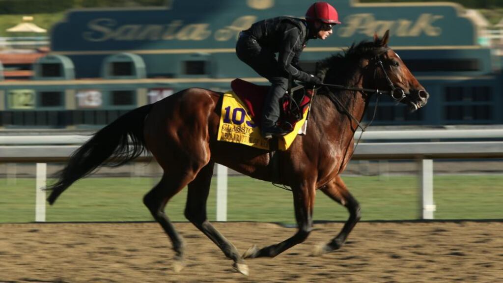 Declaration Of War has a run-out at Santa Anita for tonight’s Breeders’ Cup Classic. Photograph: Jeff Gross/Getty Images