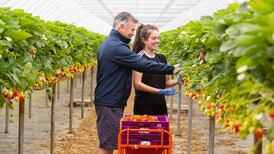 Record number of teenagers seeking summer jobs 'plugging the gap' for employers