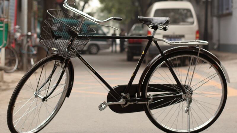 Chinese Flying Pigeon