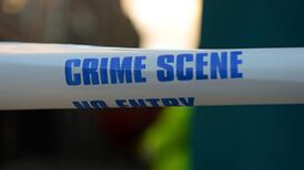 ‘Businesses not reporting crime as they have no faith in judiciary’