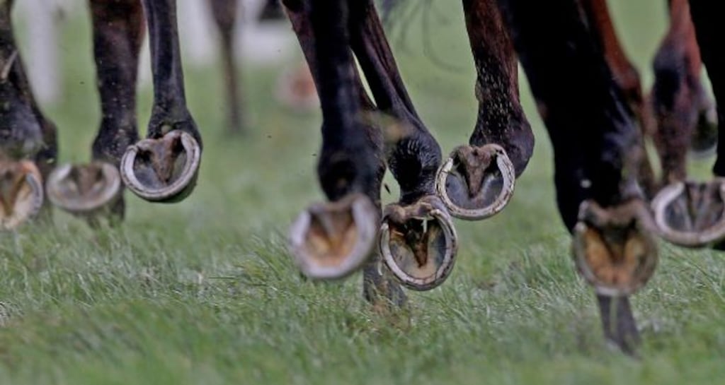 Ms Justice Leonie Reynolds struck out the case against the Irish Horseracing Regulatory Board. File photograph: Donall Farmer/Inpho