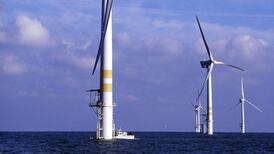 Biodiversity-friendly renewable energy set to move centre stage