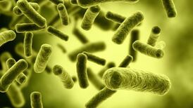 Patients in hospital wards more likely to pick up infections