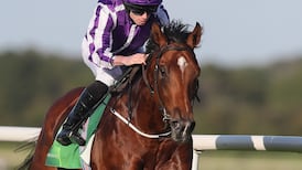 O’Brien indicates Winter right in Arc mix if ground conditions dry