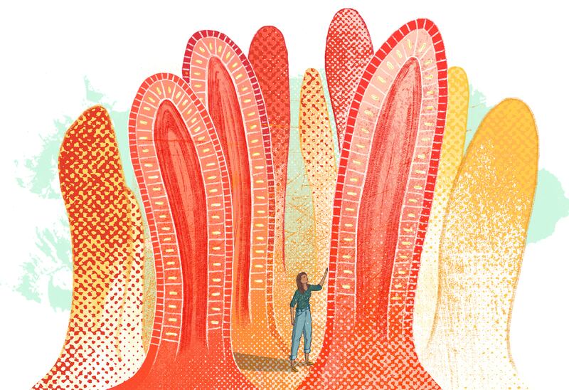 Illustration: Cat O’Neil/The New York Times