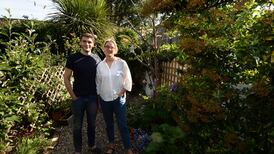 Hipsters and roosters: Making a nest in Stoneybatter