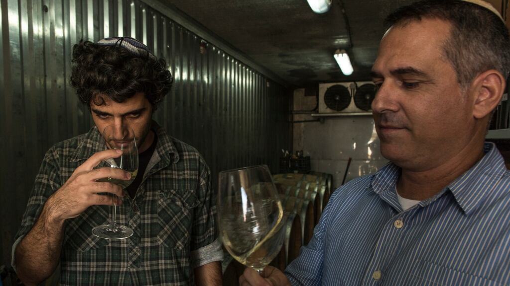 Yaakov Henig, a graduate student at Ariel University, and Eliyashiv Drori, an oenologist at the university, taste wine made from local grapes at the university in the occupied West Bank. Photograph: Rina Castelnuovo/The New York Times