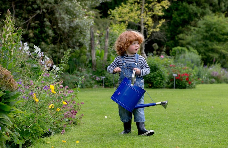 William Fennell exploring Altamont Gardens, one of the stunning areas you can discover as part of Carlow Autumn Walking Festival. Photograph: Dylan Vaughan