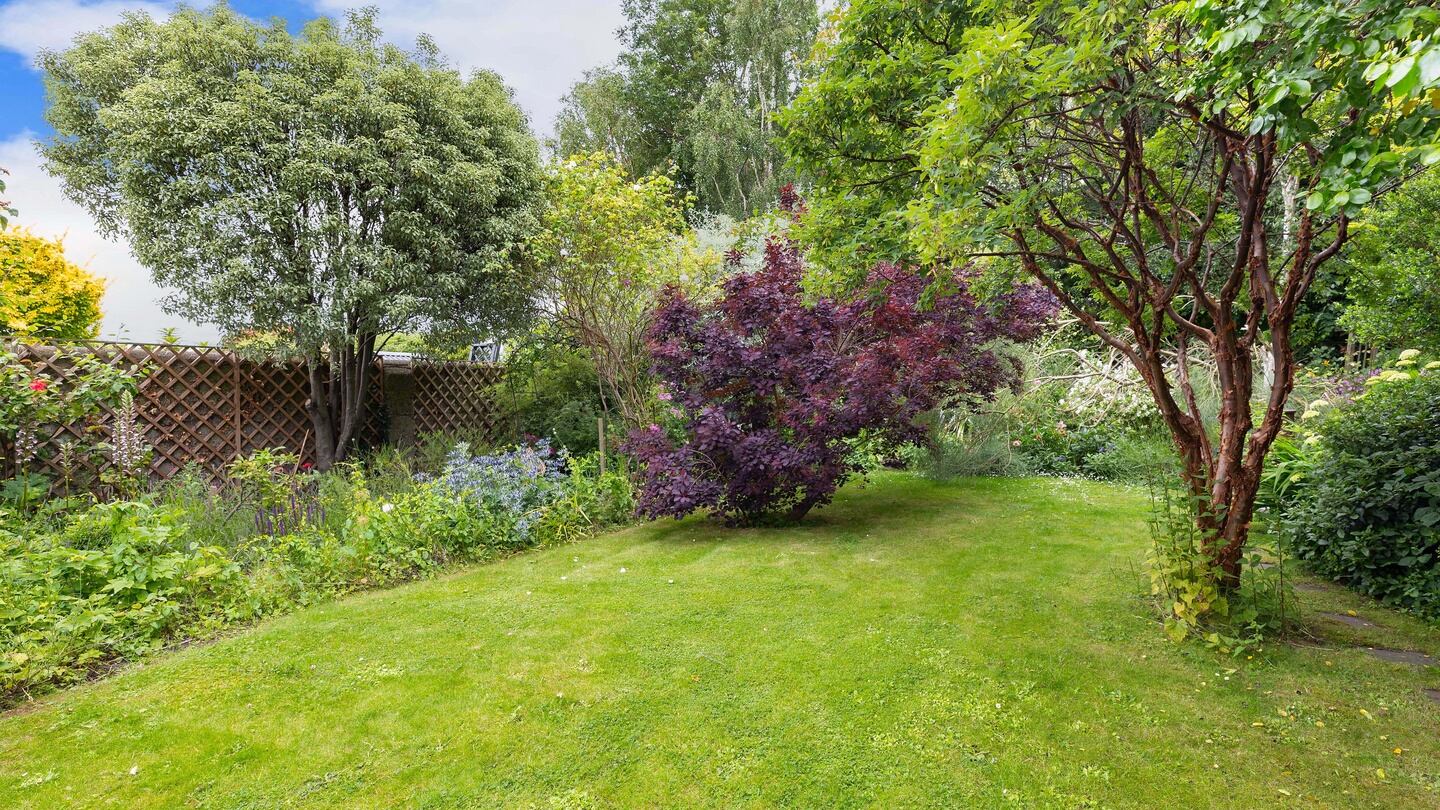 Rear garden at 56 Park Avenue