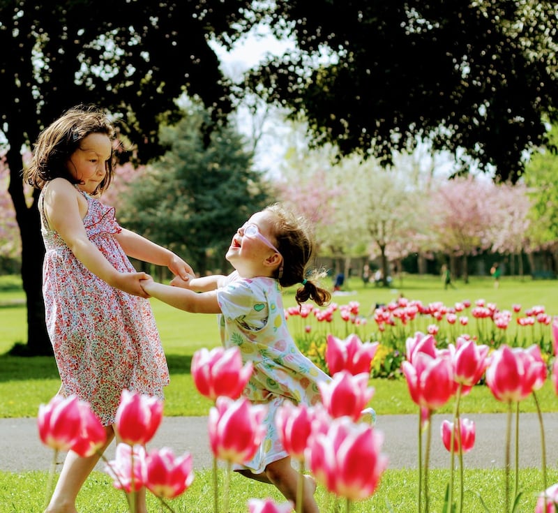 Summer Pix 2019: summer in Herbert Park, in Dublin. Photograph: Michelle Cullen