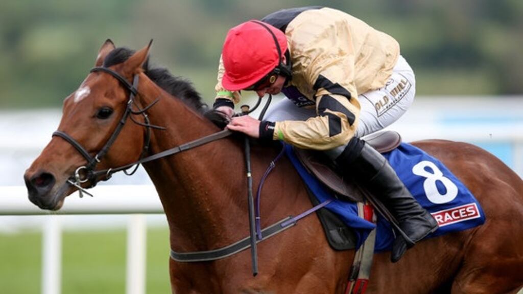 Shaneshill took the Galmoy Hurdle at Gowran Park on Thursday. Photograph: Inpho/James Crombie
