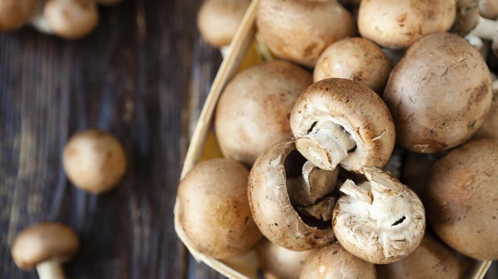 DIG alleged the Wilson shareholders were essentially running ELST ‘as if it were a family business’. The Wilsons, it was claimed, viewed board meetings as mere information sessions convened to explain decisions which they have already taken and put into effect