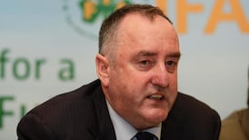 Scheme urged to address  problem  of abandoned horses