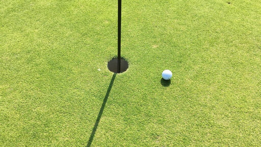 DLR County Council said it wants to bring grass greens back to the Marlay Park course.