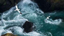 Thinking Anew: The buoyancy of hope