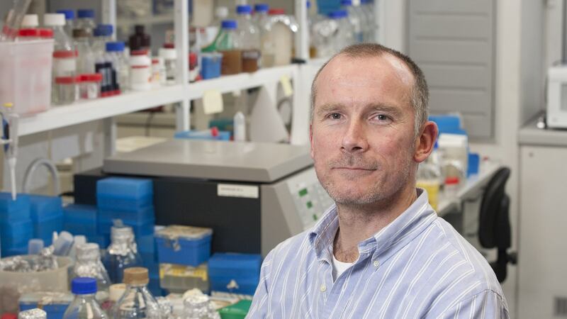 Prof Paul O Toole of APC Microbiome Ireland, which is funded by Science Foundation Ireland and based at UCC. Photograph: Tomas Tyner, UCC.
