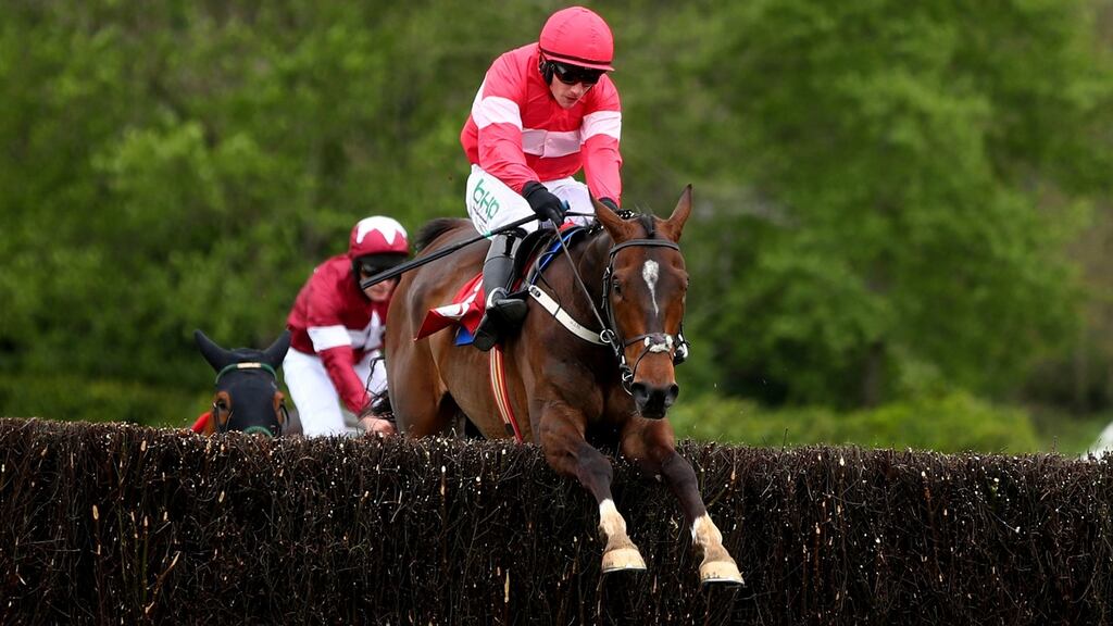 Real Steel and Paul Townend were victorious at Thurles. Photograph: James Crombie/Inpho