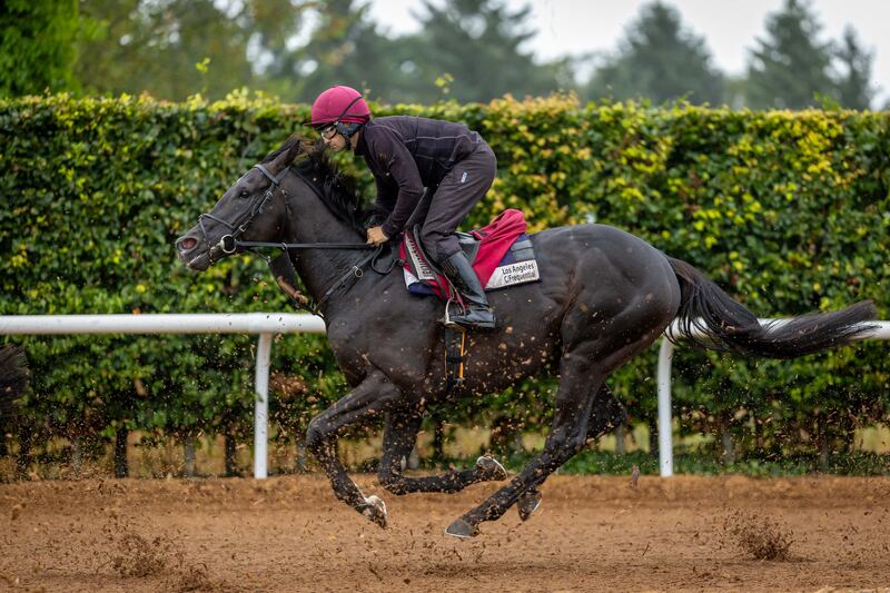 Alan Crowe with Los Angeles. Photograph: Morgan Treacy/Inpho