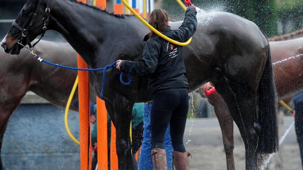 A horse is washed down after the Holycross Maiden Hurdle at Thurles Racecourse in Co Tipperary on Thursday. Photograph: PA Wire
