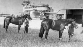 Times We Lived In: flying racehorses get set for contentious Derby