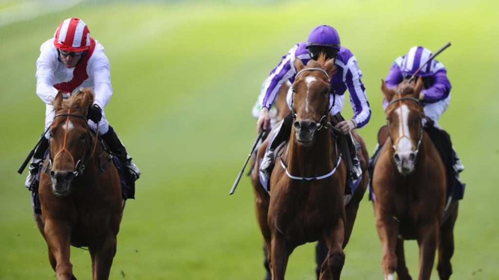 Australia (centre) finishes third behind Night of Thunder (left) in the Qipco 2000 Guineas at Newmarket. Photograph: Alan Crowhurst/Getty Images.