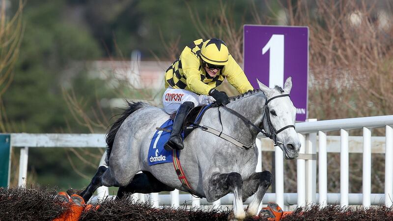 Asterion Forlonge is set for Tuesday’s Supreme. Photograph: Bryan Keane/Inpho