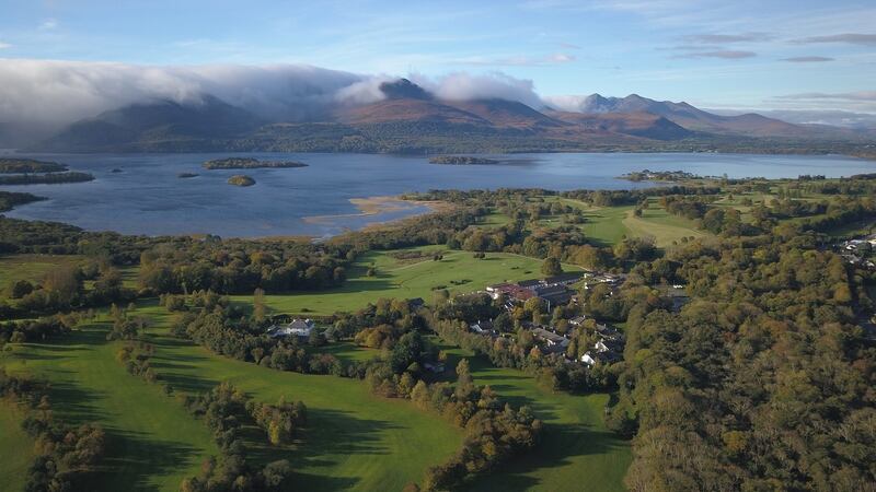 Enjoy the deer at the Castlerosse Park Resort in Killarney