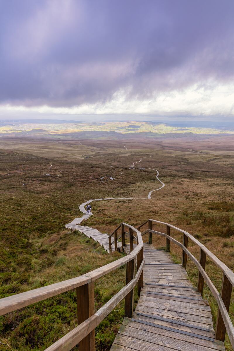 Cuilcagh Boardwalk Trail in Co Fermanagh, also known as the Stairway to Heaven. Photograph: Scott Heaney/iStock