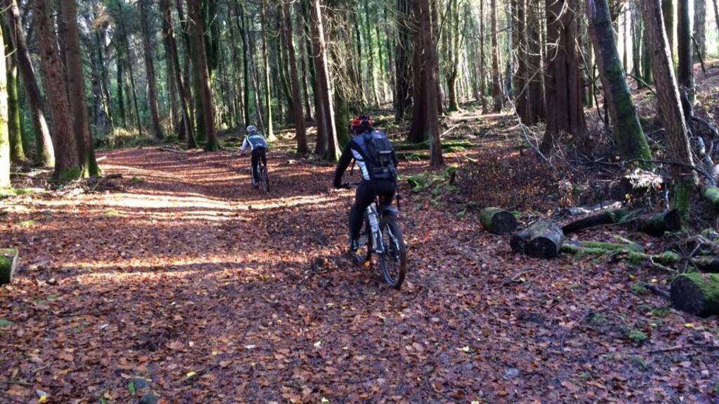 It’s the perfect preparation for an encounter with the museum (Ireland’s only national museum outside of Dublin)
