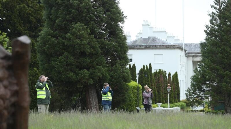 Surveying wildlife at Áras an Uachtaráin.