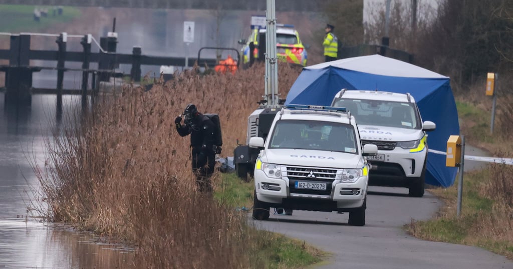 Ashling Murphy was found dead at Cappincur, Tullamore, on January 12th 2022.