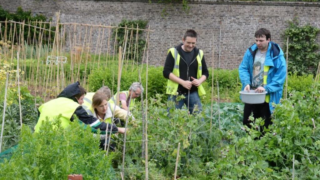 Ciarán Burke and Darragh Smith working with others in the walled garden in Marlay Park, Rathfarnham, Dublin. Photograph: Cyril Byrne