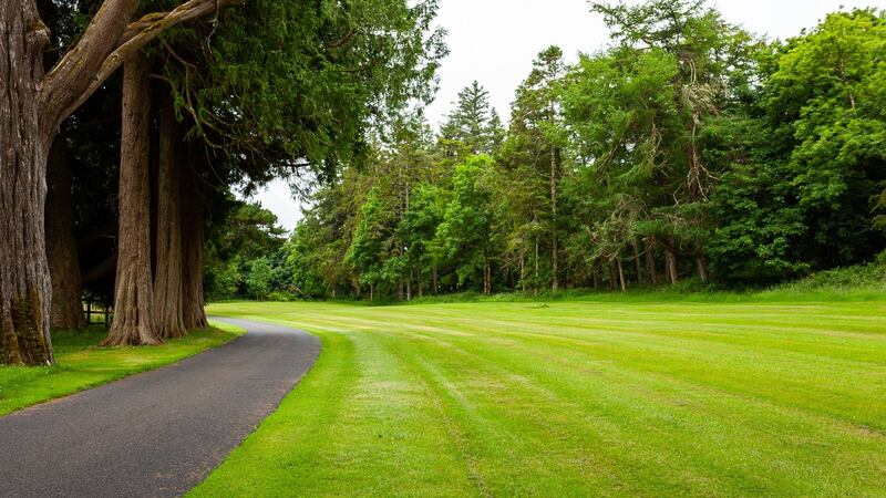 Part of the 165-acre estate.