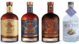 Non-alcoholic spirits can make for pleasant, interesting cocktails