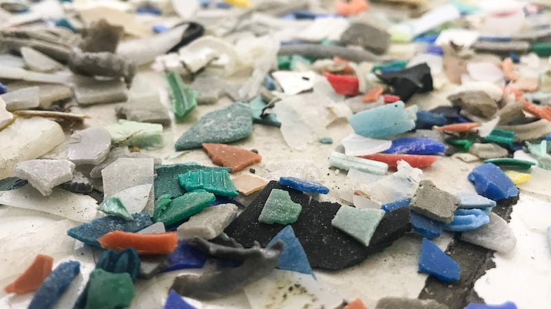 Results of a beach clean on Galápagos. Photograph: Claire McCluskey/eXXpedition