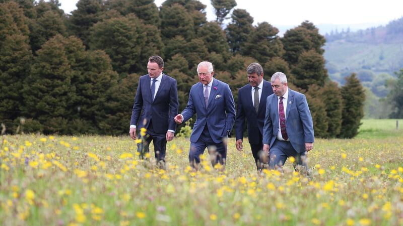 Prince Charles with his entourage at the National Botanic Gardens in Kilmacurragh. Photograph: Chris Jackson/EPA