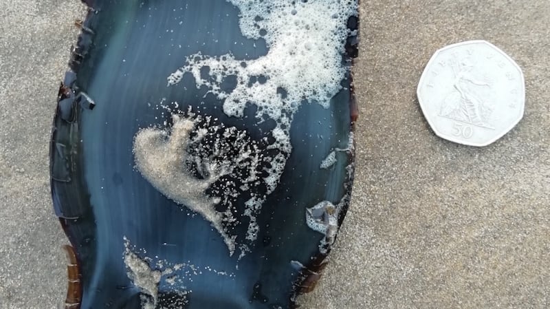 Michael Cross’ large mermaid’s purse