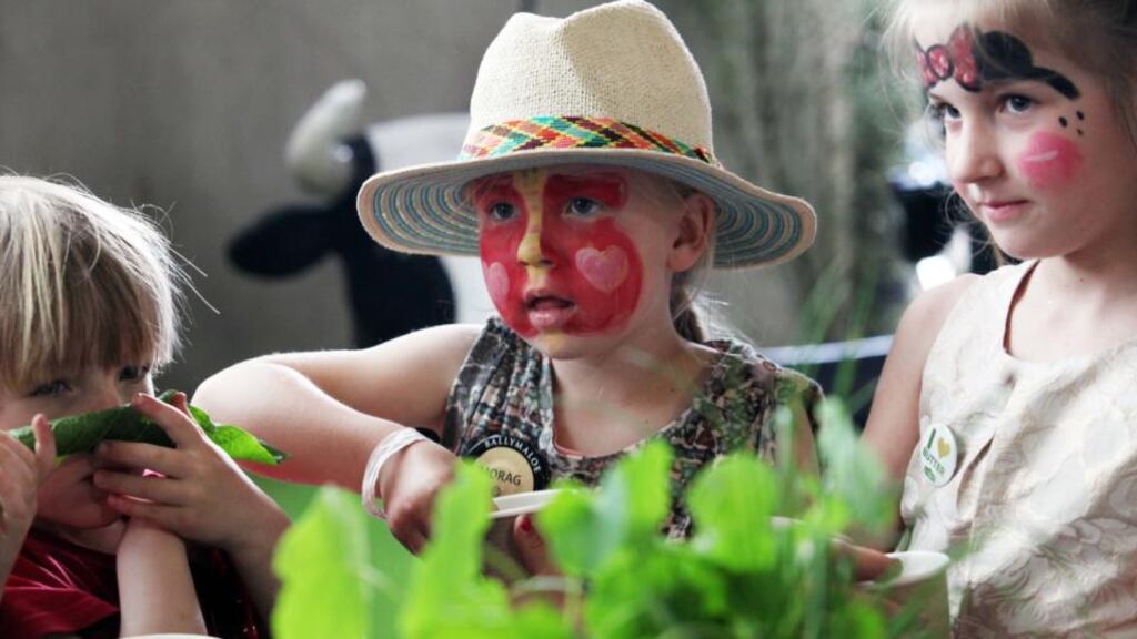 Morag Davies from Lismore Co Waterford enjoying the children’s gardening workshop at the Kerrygold Ballymaloe Literary Festival of Food and Wine 2014. Photograph: Clare keogh