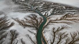 Watermark review: a visual poem and stealth polemic rolled into one