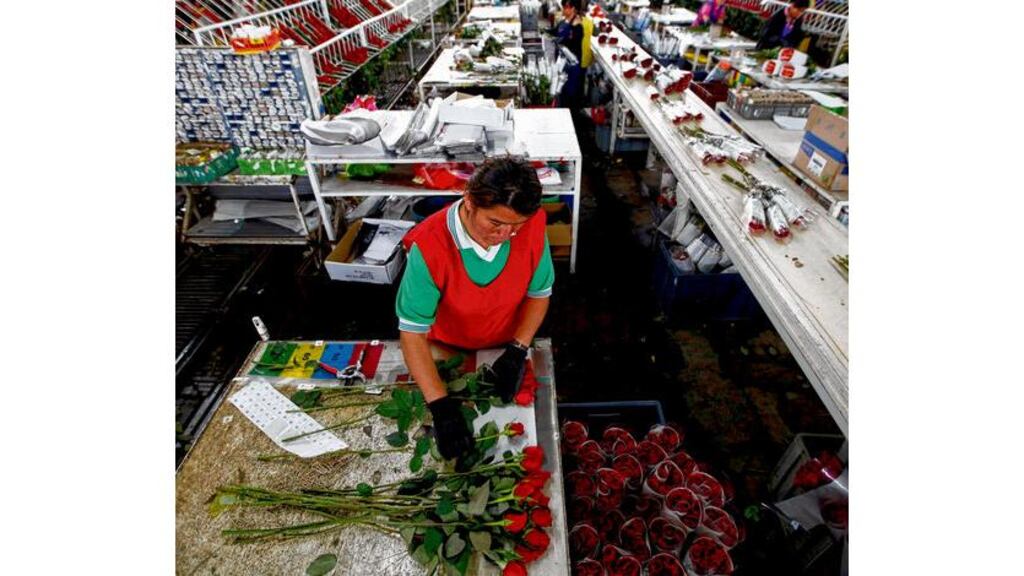 PHOTOGRAPH: REUTERS/JOHN VIZCAINO