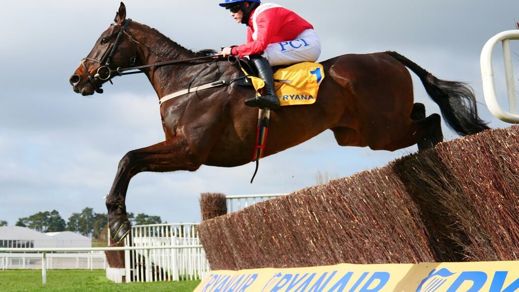 Allaho’s Cheveley Park Stud owners have said they, if necessary, are happy to go the Cheltenham festival on the back of just one run this season. File photograph: Inpho