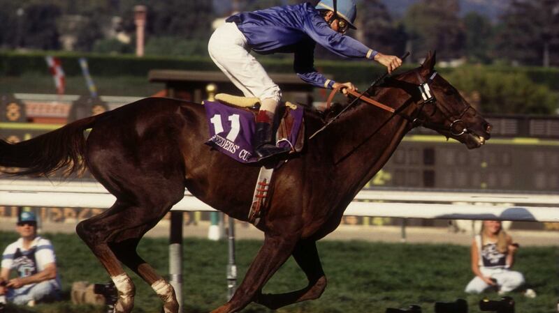 Arcangues en-route to a stunning win in the 1993 Breeders Cup Classic. Photograph: Stephen Dunn/Getty
