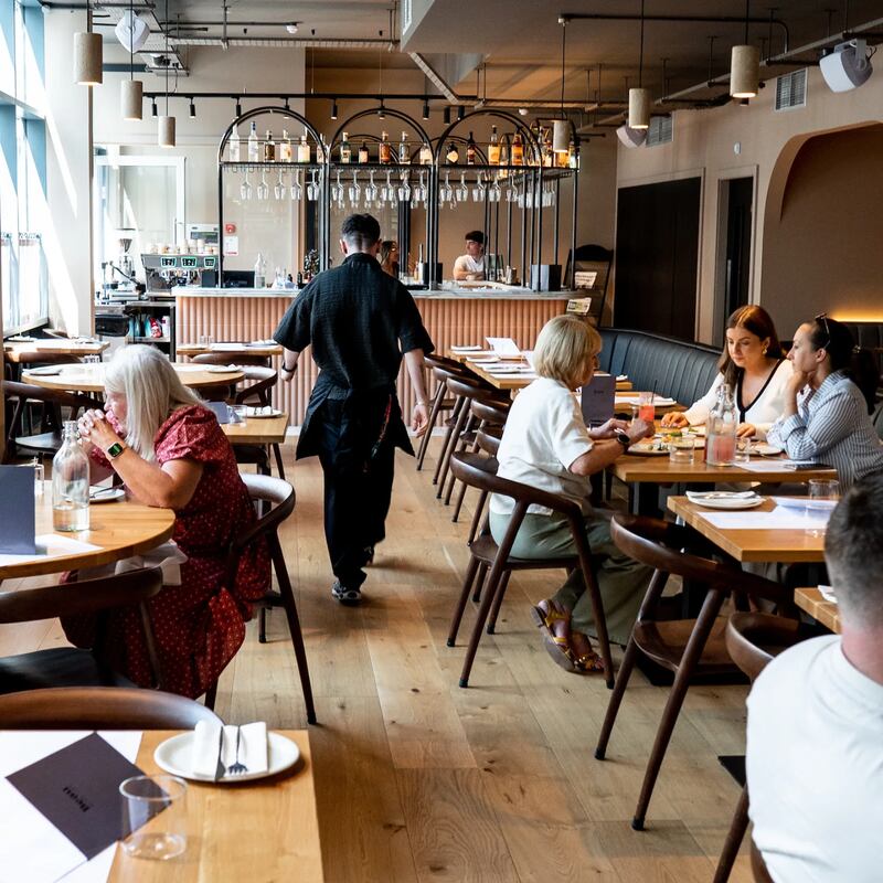 Beau in Belfast. Photograph: Instagram