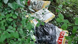 Runners collect 174 bags of roadside rubbish in pandemic clean-up